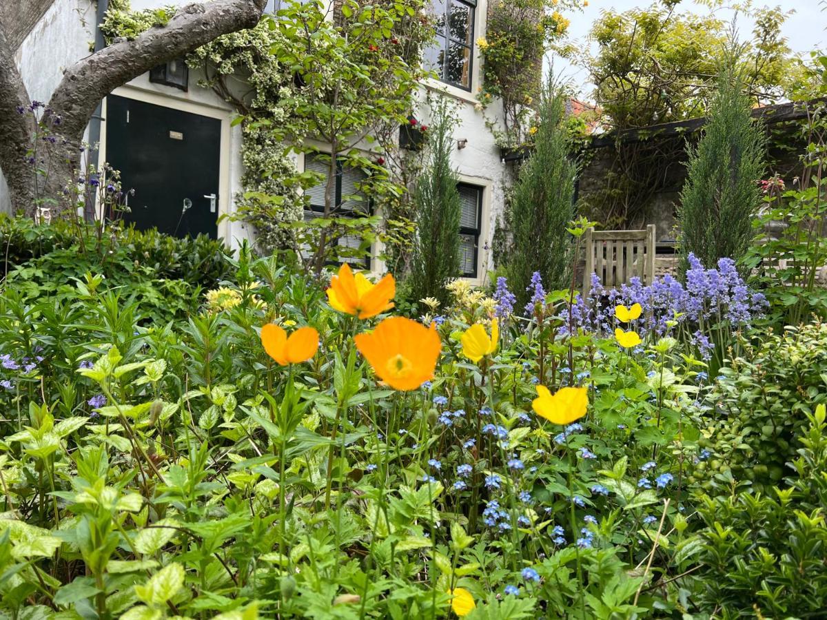חאודה Apple Tree Cottage - Charming Home At Beautiful Canal In Our Idyllic Garden מראה חיצוני תמונה