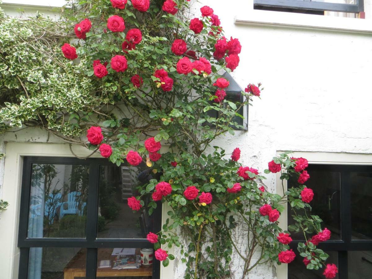חאודה Apple Tree Cottage - Charming Home At Beautiful Canal In Our Idyllic Garden מראה חיצוני תמונה